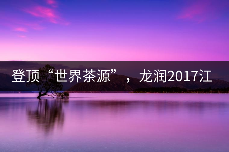 登頂“世界茶源”，龍潤2017江城茶上市啦！