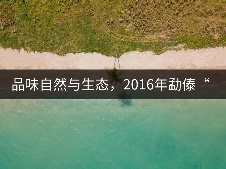 品味自然與生態，2016年勐傣“大雪山古樹茶”