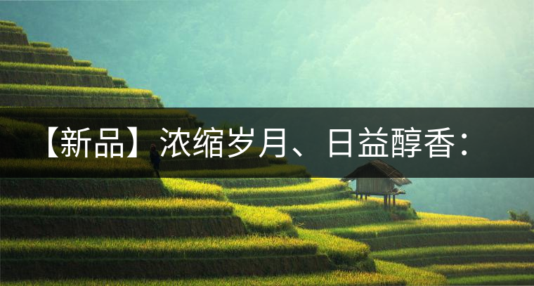 【新品】濃縮歲月、日益醇香：陳臻號陳品熟餅即將上市！