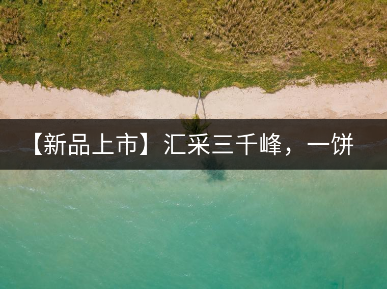 【新品上市】匯采三千峰，一餅群山鑄——群峰之峻！