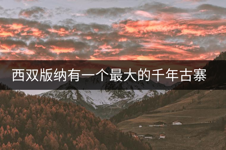 西雙版納有一個最大的千年古寨“純粹的布朗族家”