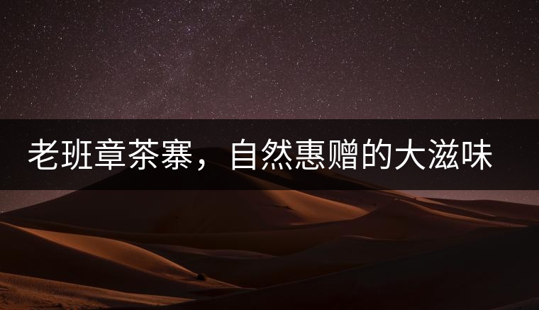 老班章茶寨，自然惠贈的大滋味，大滿足