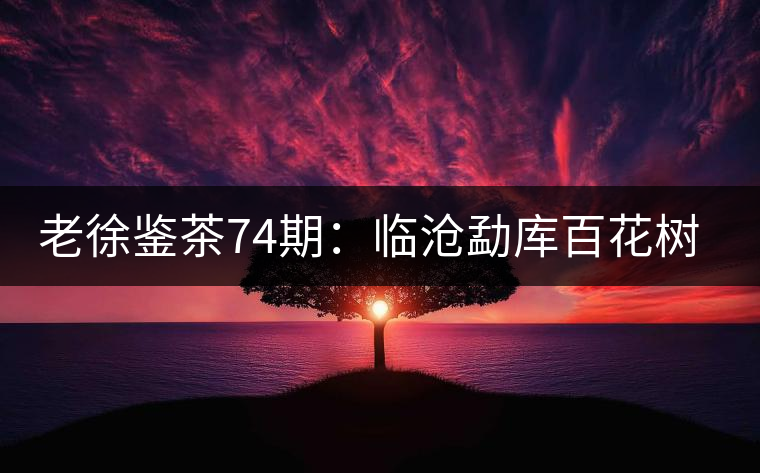 老徐鑒茶74期:臨滄勐庫百花樹混采古樹茶品鑒報告(北京茶友寄) 老徐鑒茶74期:臨滄勐庫百花樹混采古樹茶品鑒報告(北京茶友寄)