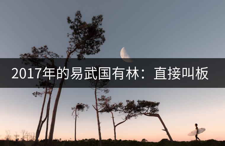 2017年的易武國有林:直接叫板老班章! 2017年的易武國有林:直接叫板老班章!