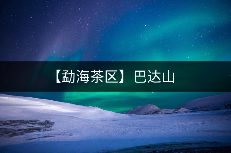 【勐海茶區】巴達山 【勐海茶區】巴達山