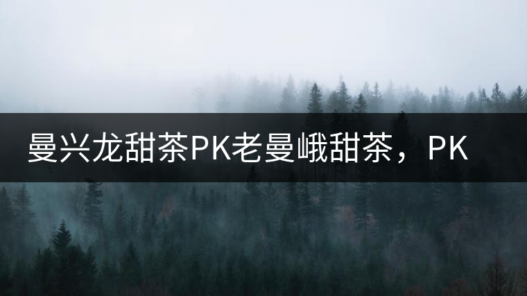 曼興龍甜茶PK老曼峨甜茶,PK出勐海茶區第三匹黑馬! 曼興龍甜茶PK老曼峨甜茶,PK出勐海茶區第三匹黑馬!