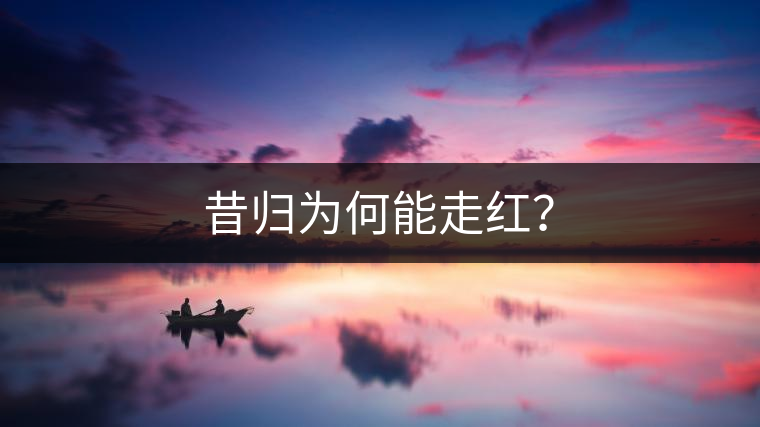 昔歸為何能走紅? 昔歸為何能走紅?