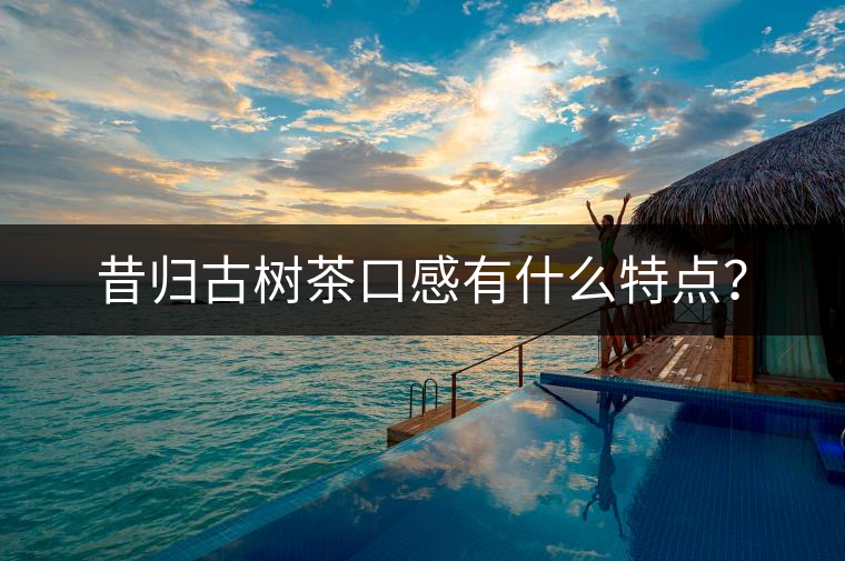 昔歸古樹茶口感有什么特點? 昔歸古樹茶口感有什么特點?