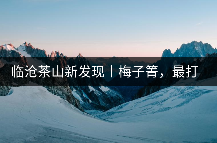 臨滄茶山新發(fā)現(xiàn)丨梅子箐,最打動自己的茶山 臨滄茶山新發(fā)現(xiàn)丨梅子箐,最打動自己的茶山