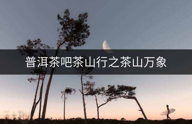 普洱茶吧茶山行之茶山萬象