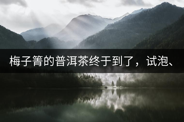梅子箐的普洱茶終于到了,試泡、、、 梅子箐的普洱茶終于到了,試泡、、、