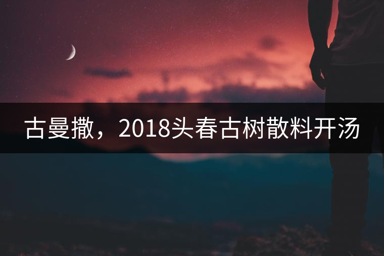 古曼撒,2018頭春古樹散料開湯 古曼撒,2018頭春古樹散料開湯