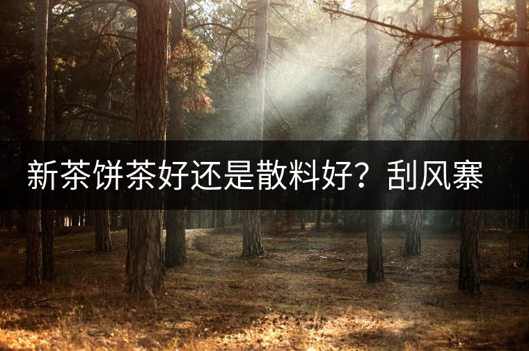 新茶餅茶好還是散料好?刮風(fēng)寨開(kāi)湯評(píng)測(cè) 新茶餅茶好還是散料好?刮風(fēng)寨開(kāi)湯評(píng)測(cè)