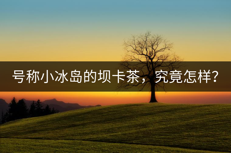 號稱小冰島的壩卡茶,究竟怎樣? 號稱小冰島的壩卡茶,究竟怎樣?