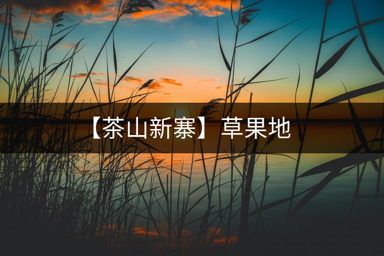 【茶山新寨】草果地 【茶山新寨】草果地