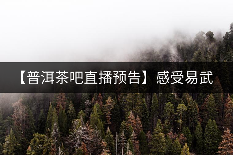 【普洱茶吧直播預告】感受易武刮風寨普洱茶的轉化(第十四期) 【普洱茶吧直播預告】感受易武刮風寨普洱茶的轉化(第十四期)