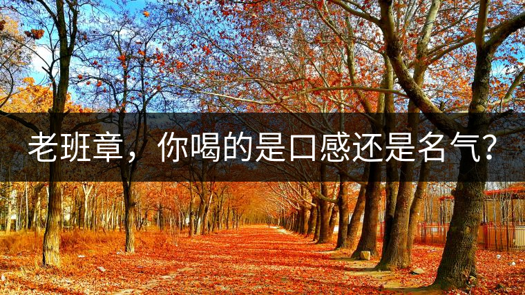 老班章，你喝的是口感還是名氣？