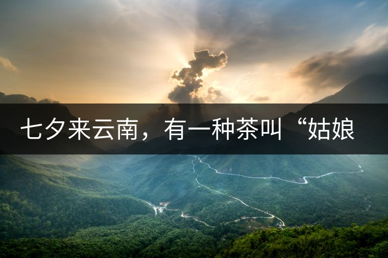 七夕來云南，有一種茶叫“姑娘茶”，也許你就能遇上