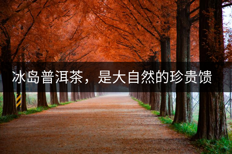 冰島普洱茶,是大自然的珍貴饋贈 冰島普洱茶,是大自然的珍貴饋贈