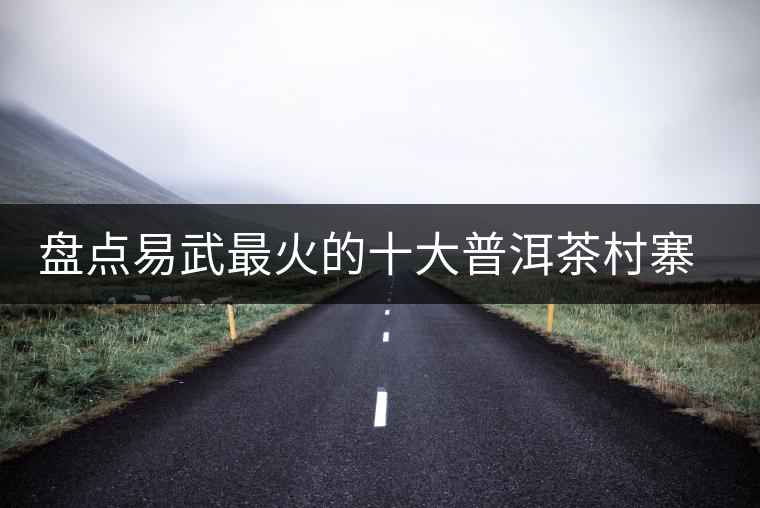 盤點易武最火的十大普洱茶村寨(排名不分先后) 盤點易武最火的十大普洱茶村寨(排名不分先后)