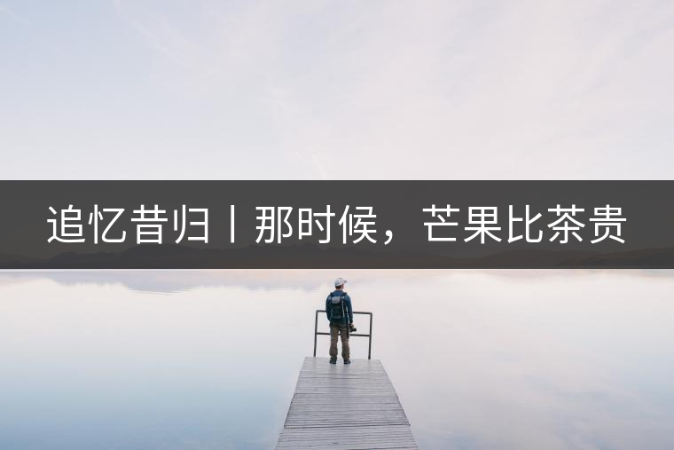 追憶昔歸丨那時候，芒果比茶貴