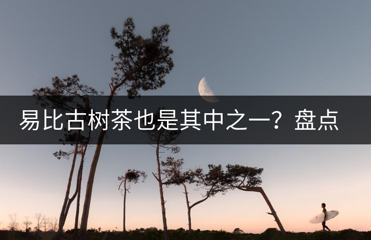 易比古樹茶也是其中之一？盤點當下易武最火的十大古樹茶！