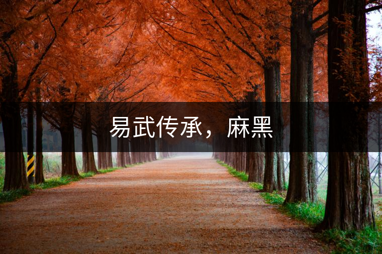 易武傳承,麻黑 易武傳承,麻黑