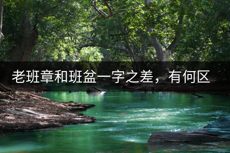 老班章和班盆一字之差，有何區別