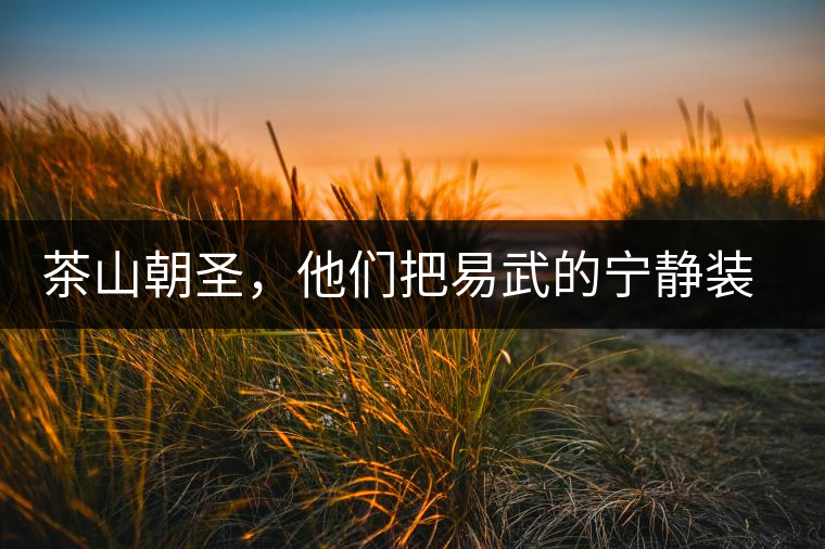 茶山朝圣，他們把易武的寧靜裝進心里，卻把成堆垃圾留在