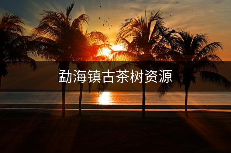 勐海鎮古茶樹資源