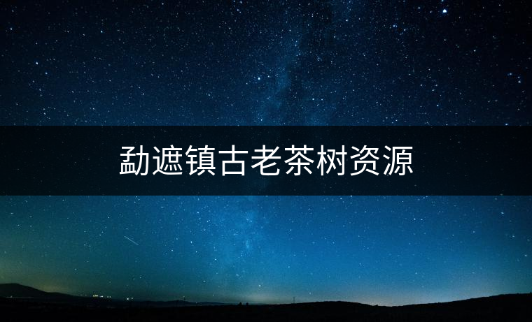 勐遮鎮古老茶樹資源 勐遮鎮古老茶樹資源