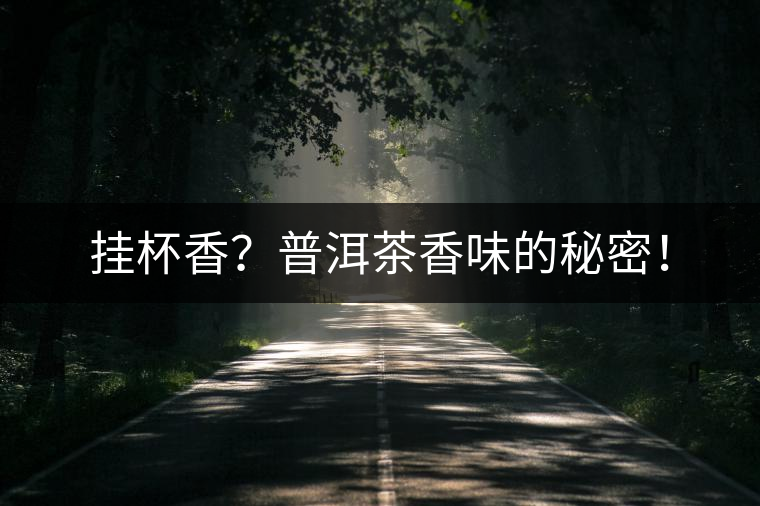 掛杯香?普洱茶香味的秘密! 掛杯香?普洱茶香味的秘密!