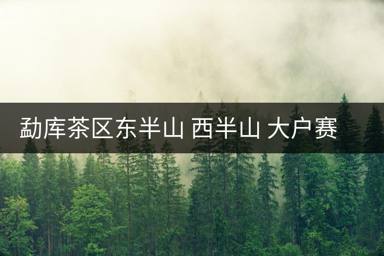 勐庫茶區東半山 西半山 大戶賽 小戶賽普洱茶介紹