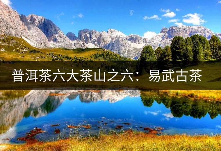 普洱茶六大茶山之六：易武古茶山