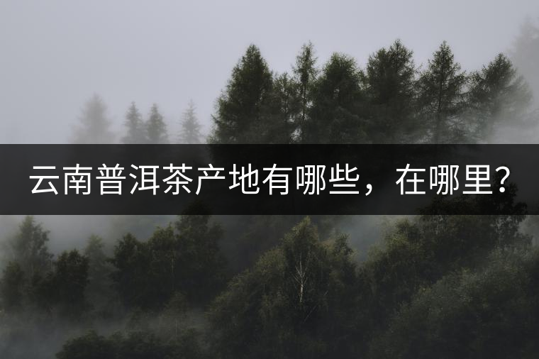 云南普洱茶產地有哪些，在哪里？