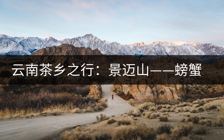 云南茶鄉之行：景邁山——螃蟹腳