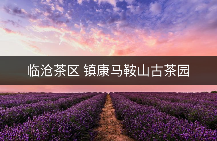 臨滄茶區(qū) 鎮(zhèn)康馬鞍山古茶園 臨滄茶區(qū) 鎮(zhèn)康馬鞍山古茶園