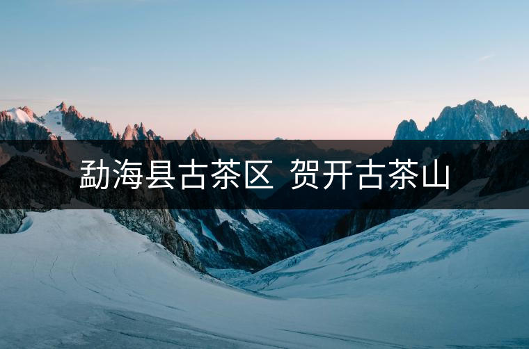 勐海縣古茶區 賀開古茶山 勐海縣古茶區 賀開古茶山