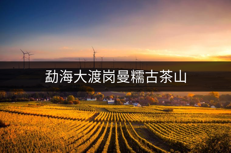 勐海大渡崗曼糯古茶山 勐海大渡崗曼糯古茶山