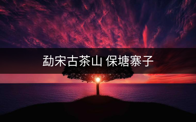 勐宋古茶山 保塘寨子 勐宋古茶山 保塘寨子
