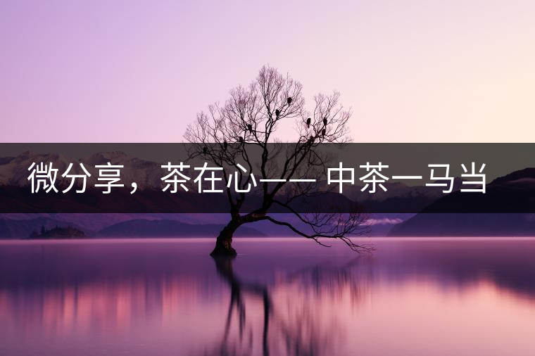 微分享，茶在心—— 中茶一馬當先