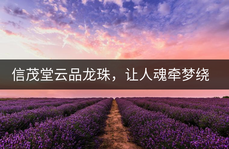 信茂堂云品龍珠,讓人魂牽夢繞的尤物 信茂堂云品龍珠,讓人魂牽夢繞的尤物