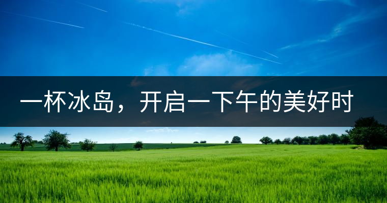一杯冰島,開啟一下午的美好時光 一杯冰島,開啟一下午的美好時光