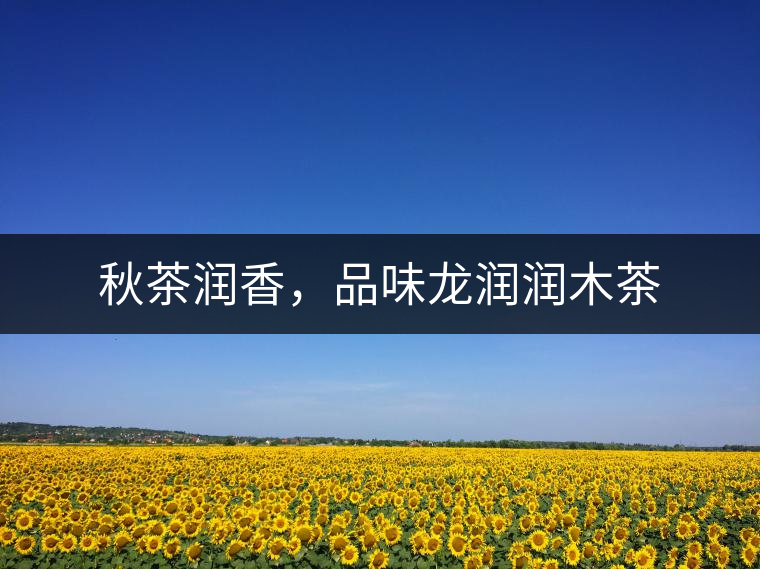 秋茶潤香,品味龍潤潤木茶 秋茶潤香,品味龍潤潤木茶