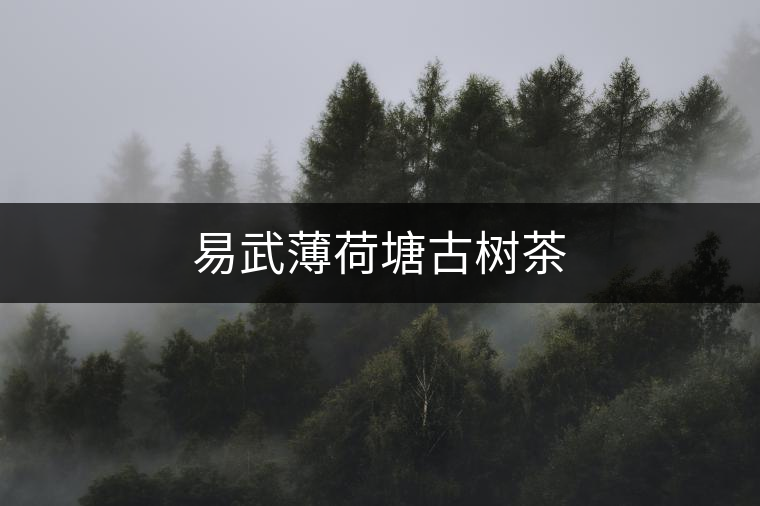易武薄荷塘古樹茶 易武薄荷塘古樹茶