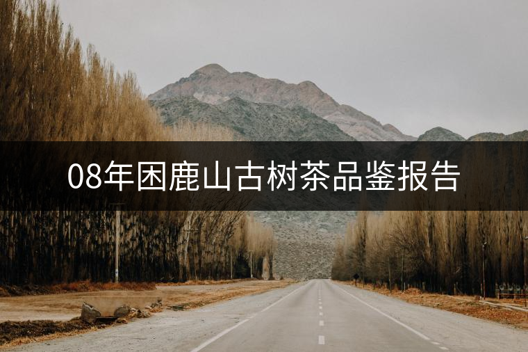 08年困鹿山古樹茶品鑒報告