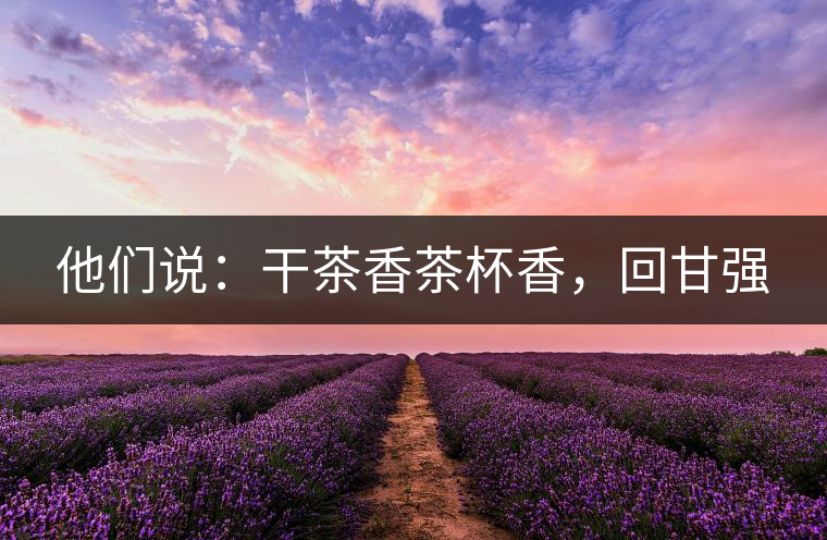 他們說:干茶香茶杯香,回甘強 他們說:干茶香茶杯香,回甘強