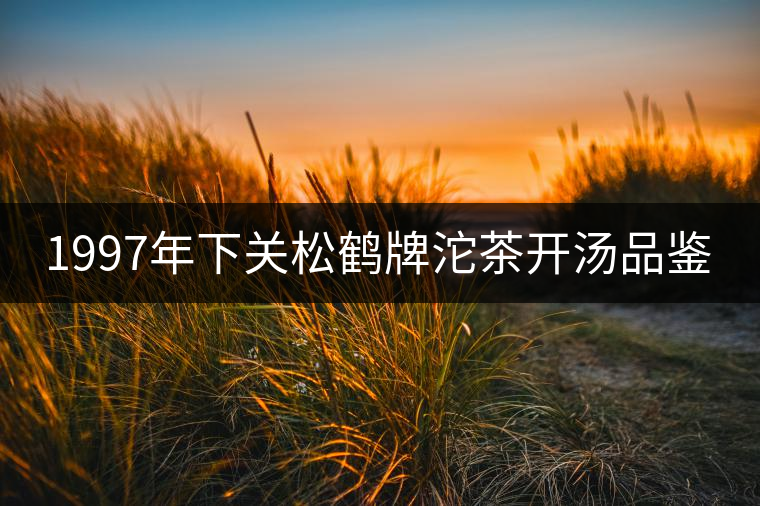 1997年下關松鶴牌沱茶開湯品鑒 1997年下關松鶴牌沱茶開湯品鑒