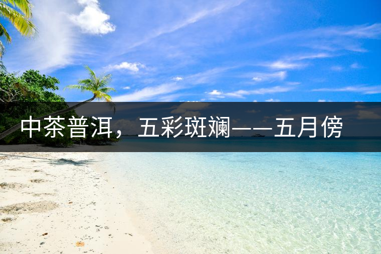 中茶普洱，五彩斑斕——五月傍晚，一道茶