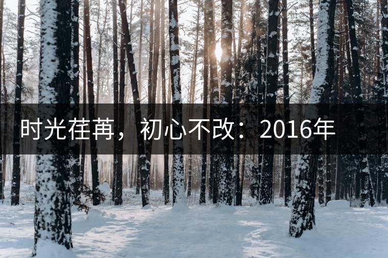 時光荏苒,初心不改:2016年老同志為天下人做好茶開湯 時光荏苒,初心不改:2016年老同志為天下人做好茶開湯